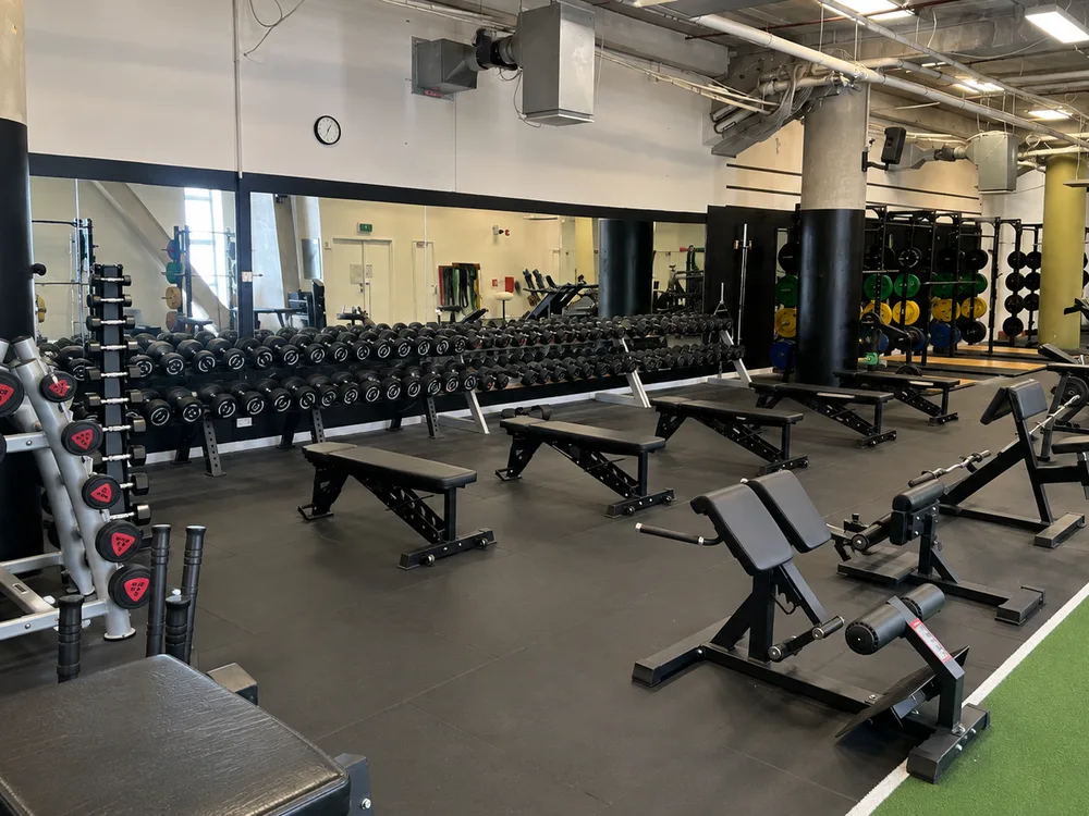 Dumbbell racks and benches at Compound Gym, with lifting platforms and colour-coded plates behind