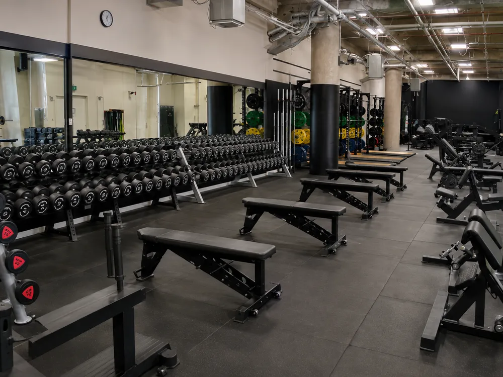 The free weights area at Compound Gym: full dumbbell range, flat and incline benches, and plate-loaded machines