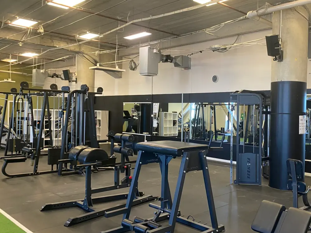 Cable stations, selectorised machines and benches in the upper body zone at Compound Gym